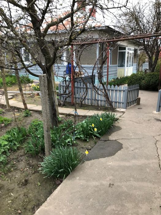 Casa de vânzare Dragoș Vodă