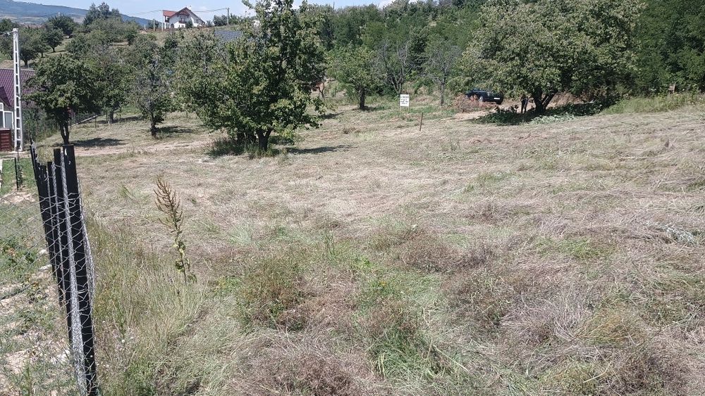 Teren intravilan 2950mp