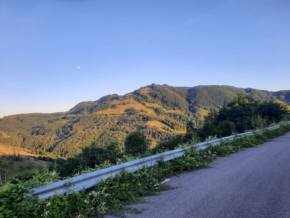 Căsuța din lemn și sura de vânzare