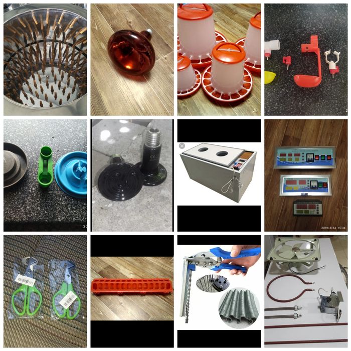 Лотки для инкубации яиц