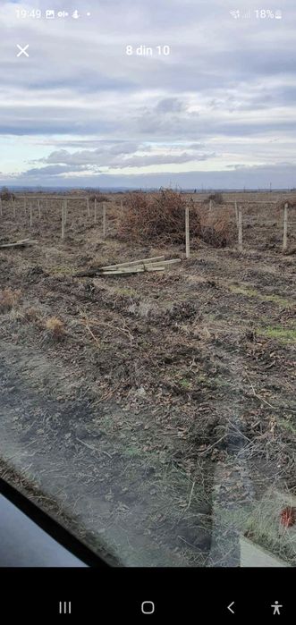 Vând spalieri de vie gard