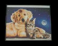 Imagine puzzle (204 piese, cu rama)