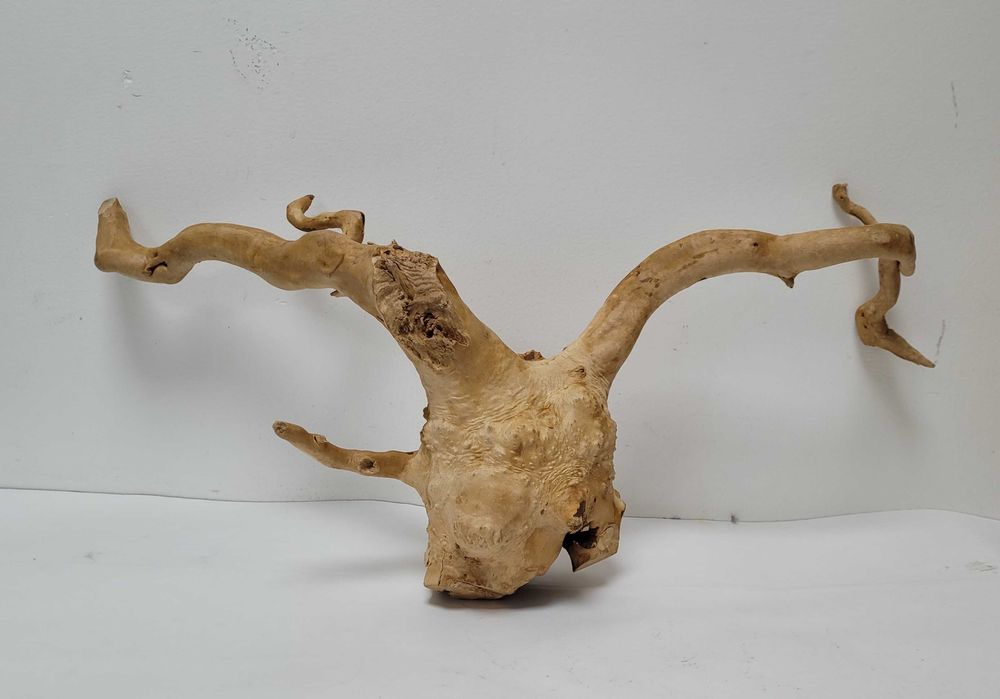 Азалия! Коряги для аквариума!