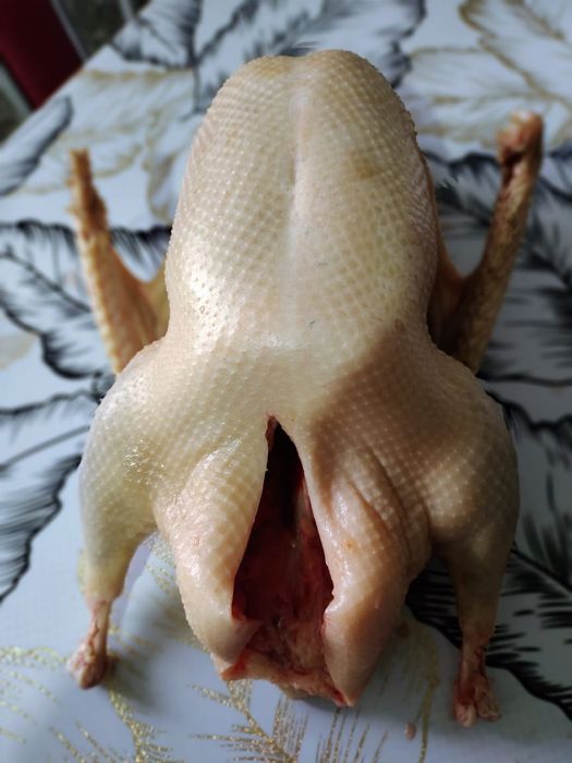 Продам гусей домашних