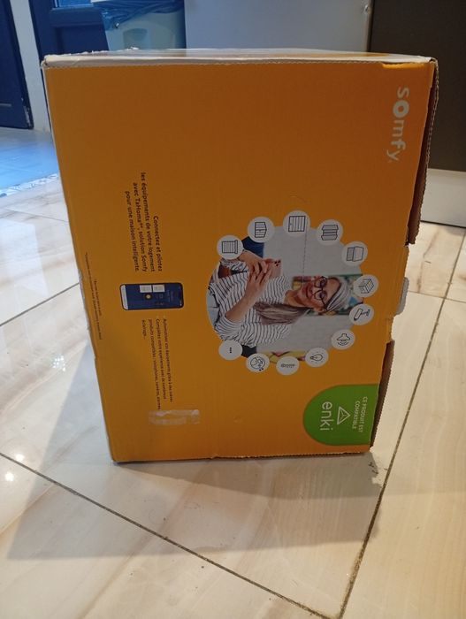 Automatizare poarta batanta Somfy