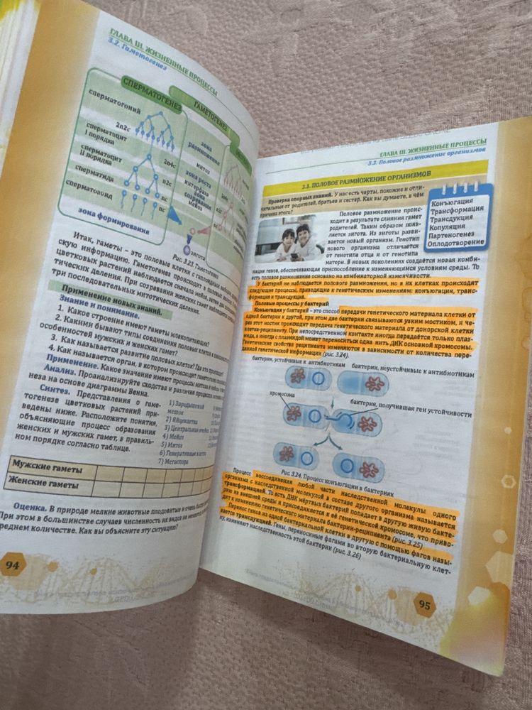 Биология 10 класс