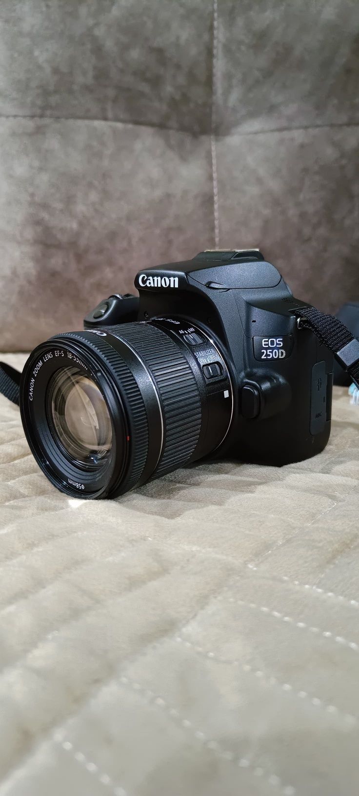 Фотокамера Canon EOS 250D Kit EF-s 18-55mm f/3.5-5.6 III черный