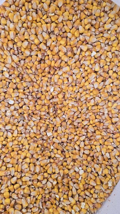 Царевица и смески по желание