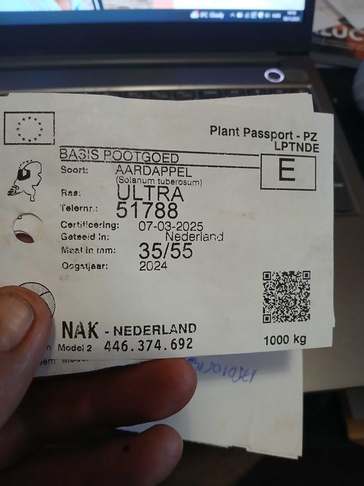 Cartofi samanta cl A