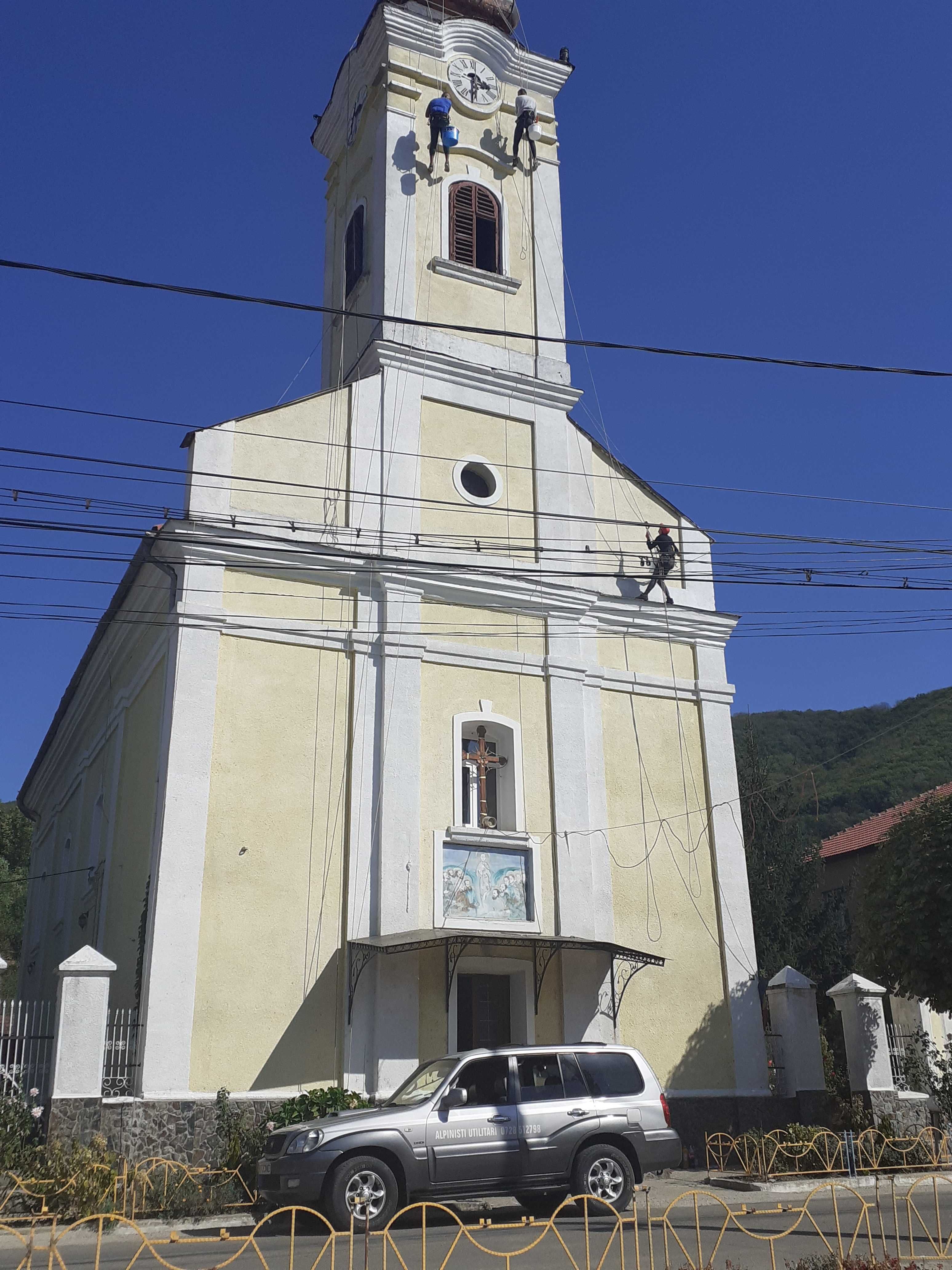 Taiat arbori,copaci,alpinisti utilitari,toaletari pomi