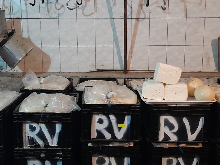 Vand telemea veche si burduf