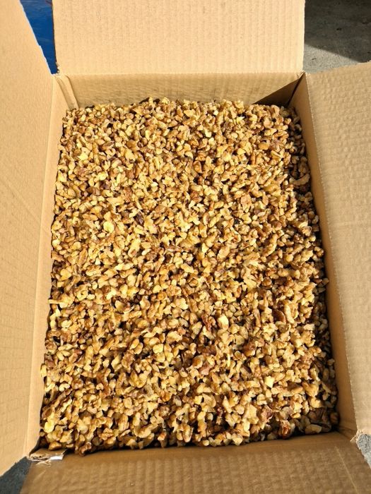 Орехова ядка 2025г