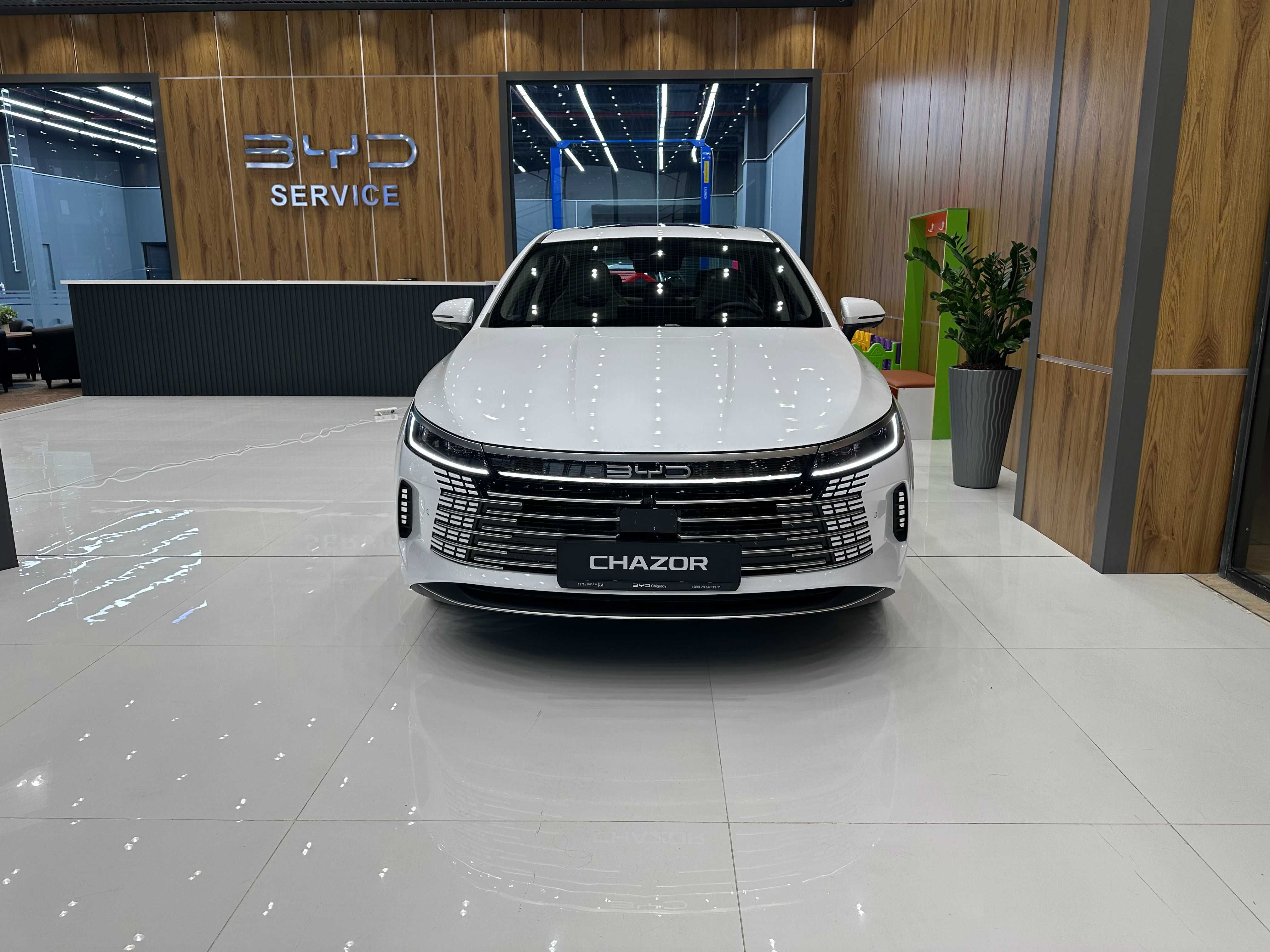 BYD Chazor 120km Flagship