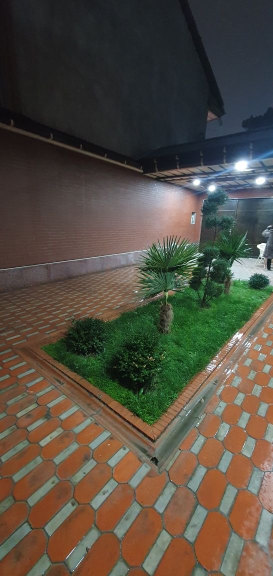 Kunlik Hovli ijarada.Samarqand shahrida.