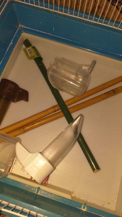 Cușca  peruș 100 lei