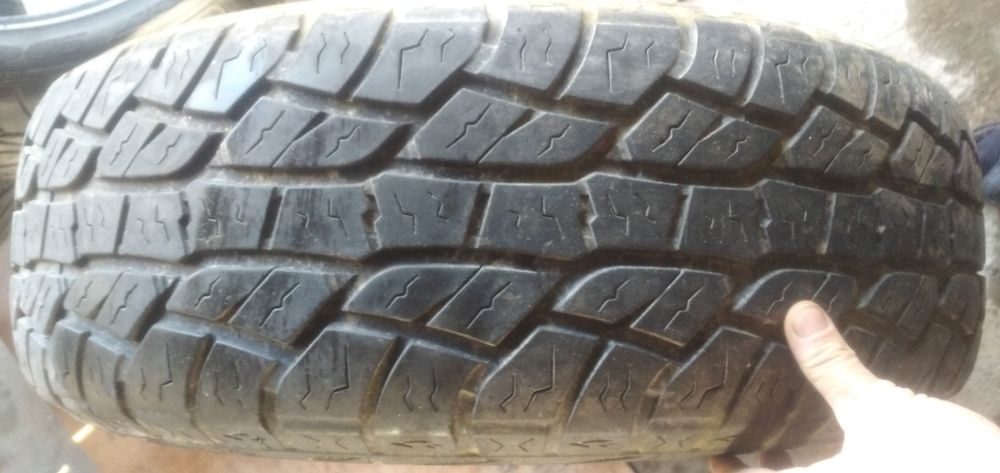 Roadmarch   Primemax