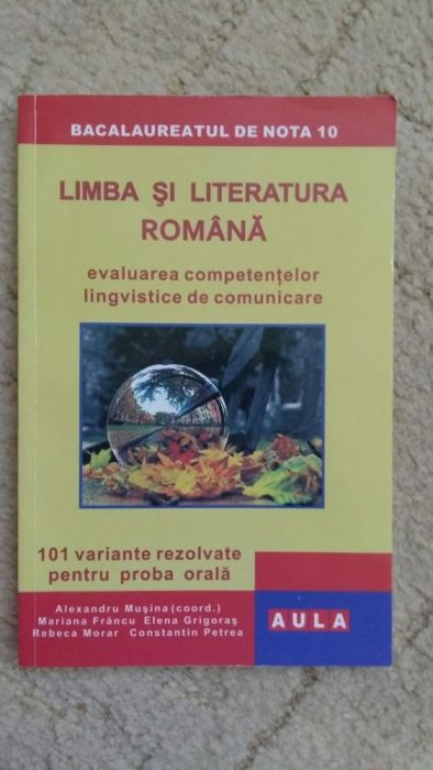 Pregatire bacalaureat limba și litera română