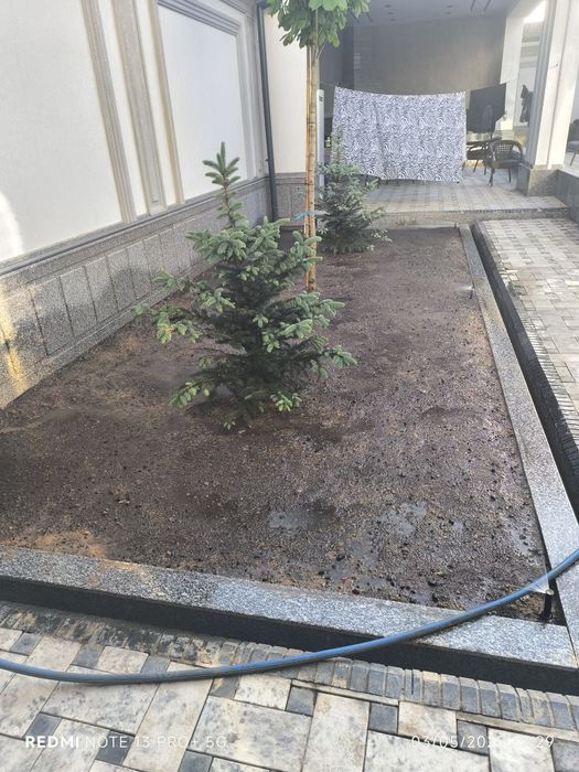 Gazon landshaft palift mkra klemint setka tortish