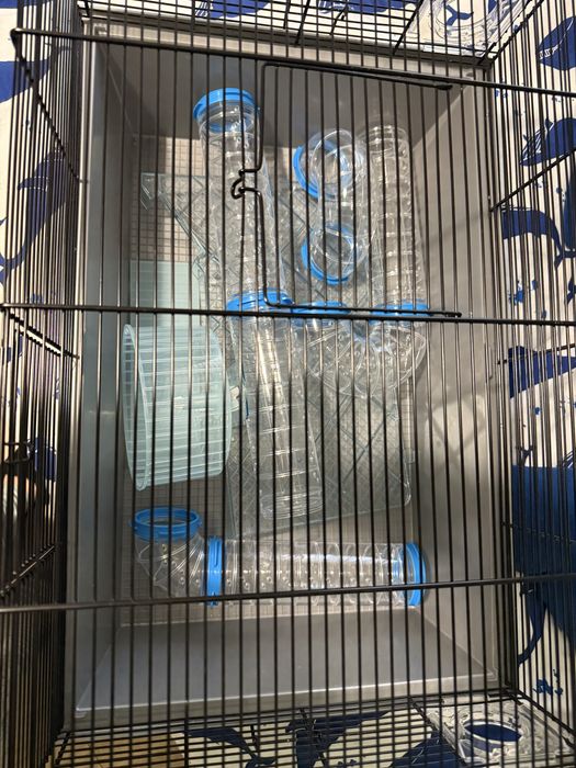 Cusca hamsteri pitici