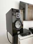 Boxe Marten Heritage Duke2
