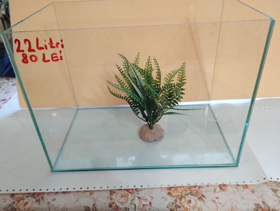 Acvarii in Pitești
