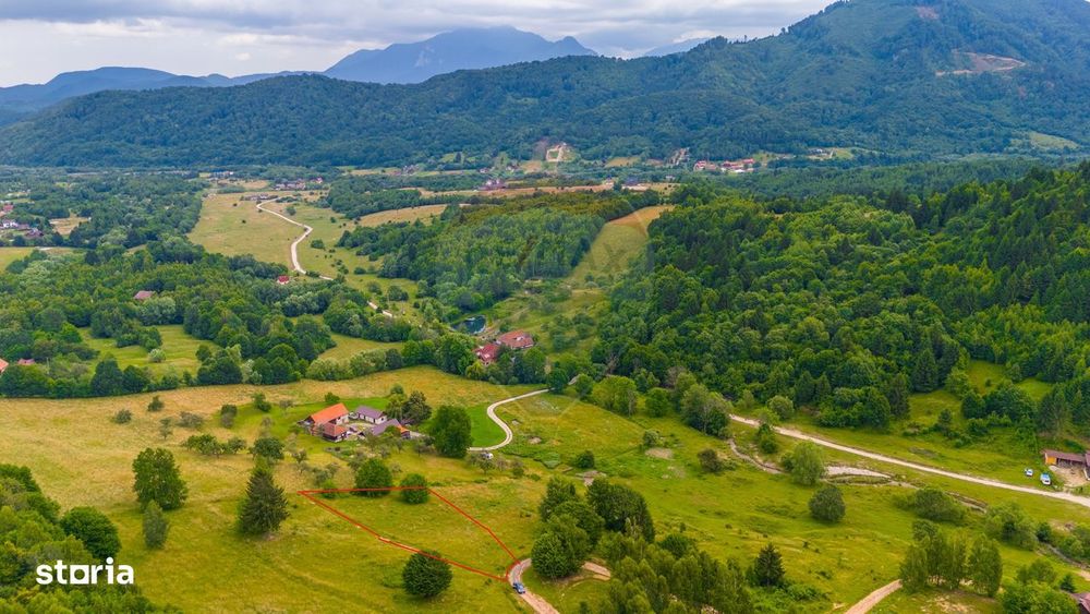 Teren Parcul National Bucegi/Str Glajarie Rau Mare/Panicel/Sohodol