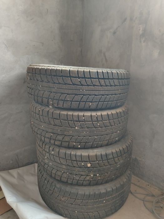 Транжл пакрышка қыс