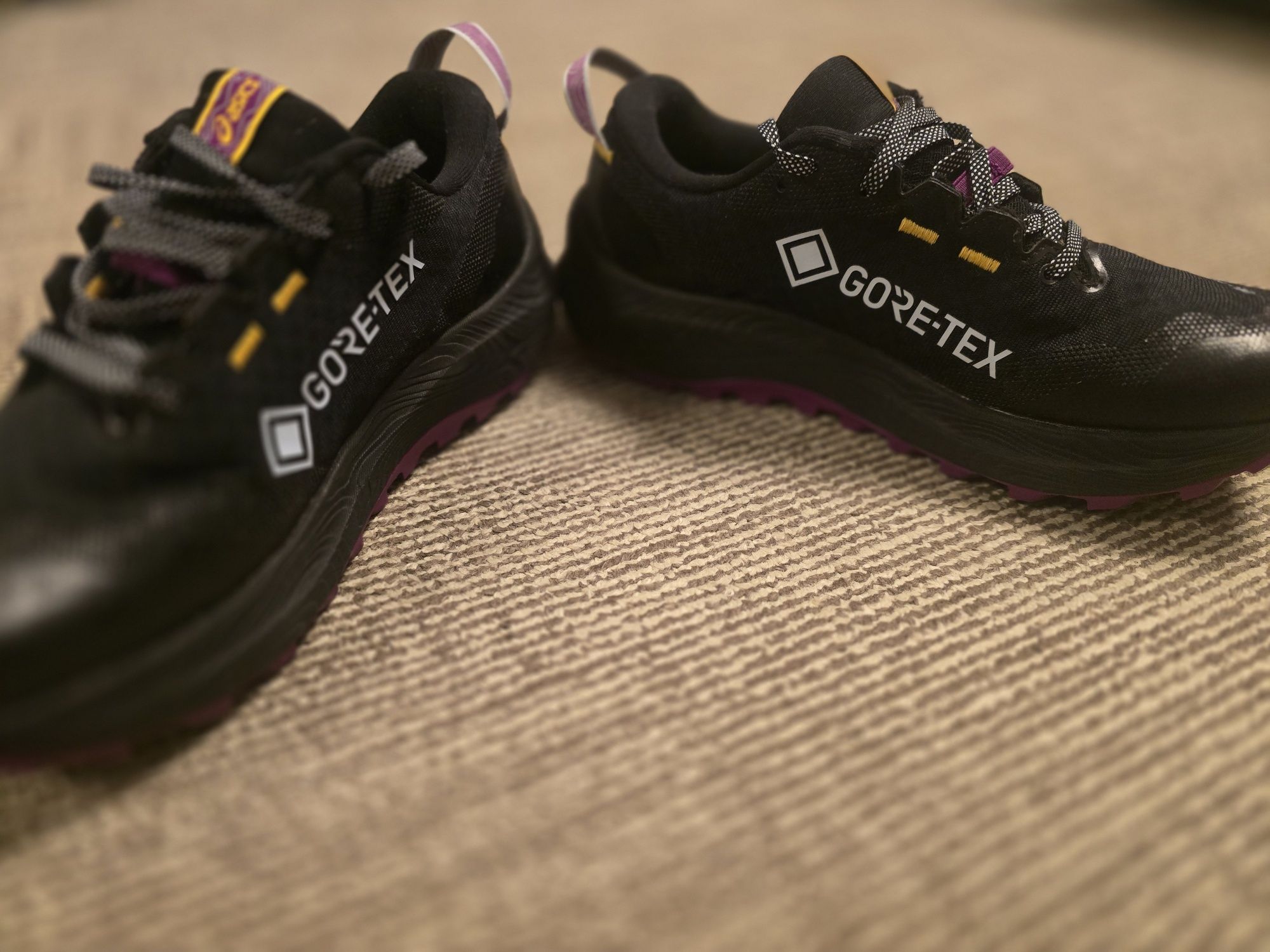 Adidasi Asics GORE-TEX