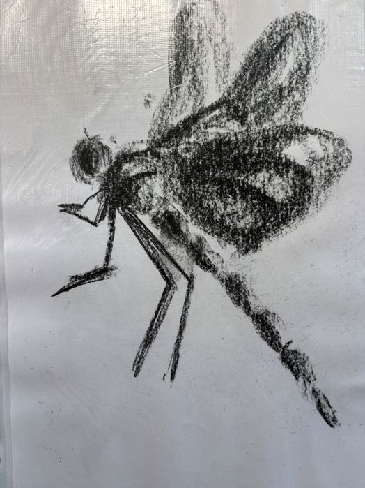 Скици с въглен 106 броя