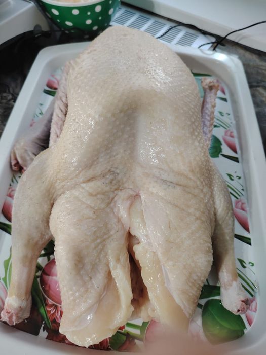 Гусей продам тушками