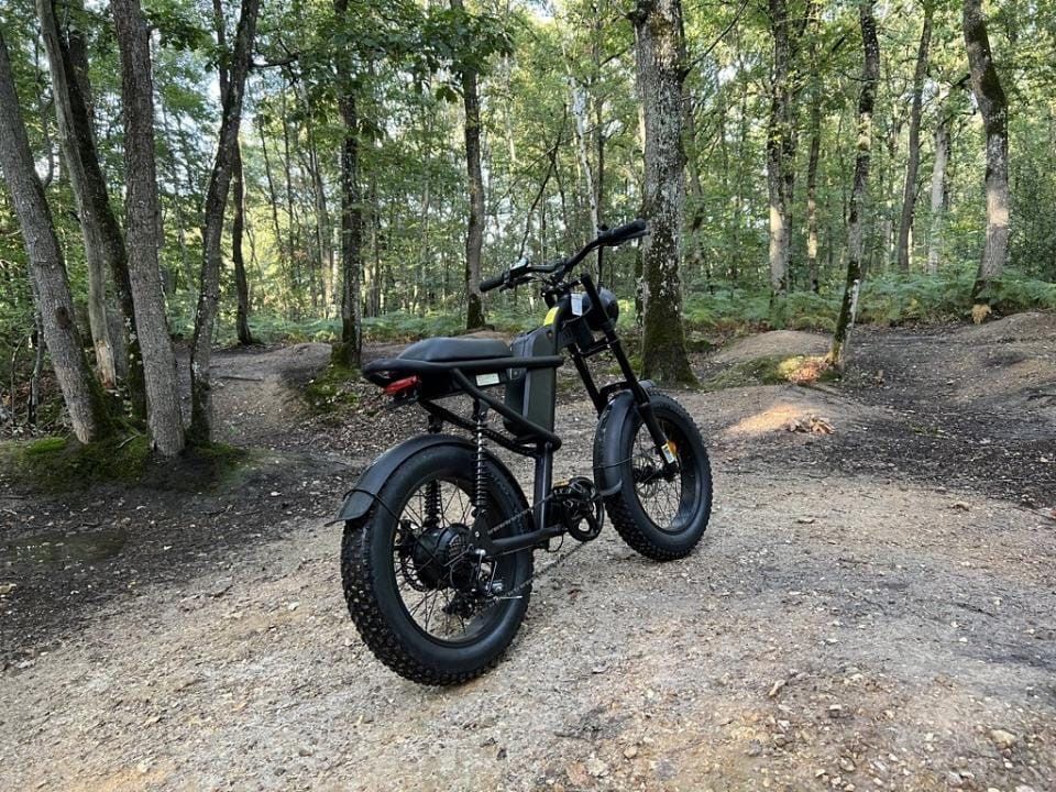 Електрически велосипед тип мотор Electric Bike Z8