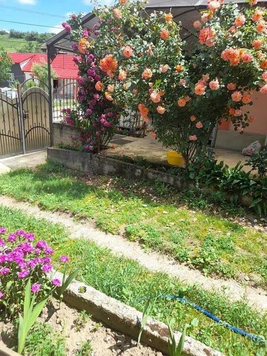 Vând casă cu mai multe anexe locuibile în Bonțida  cu gradina și solar