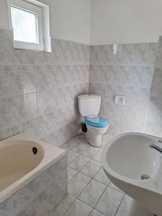 Vand casa Vetel cu teren