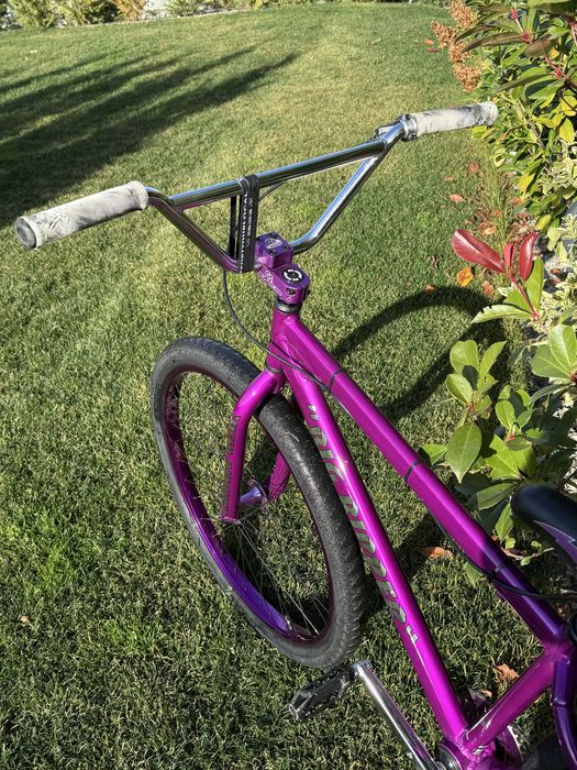 SE bike wheelie , purple rain