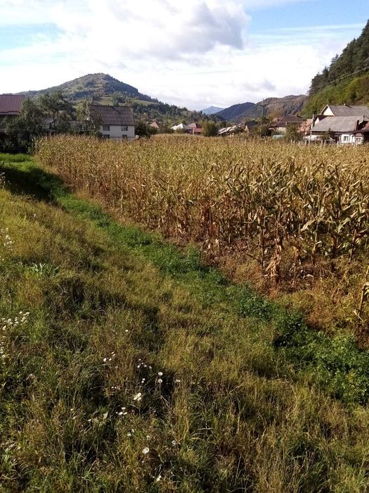 Teren intravilan de vânzare – Măgura Ilvei, Bistrița-Năsăud