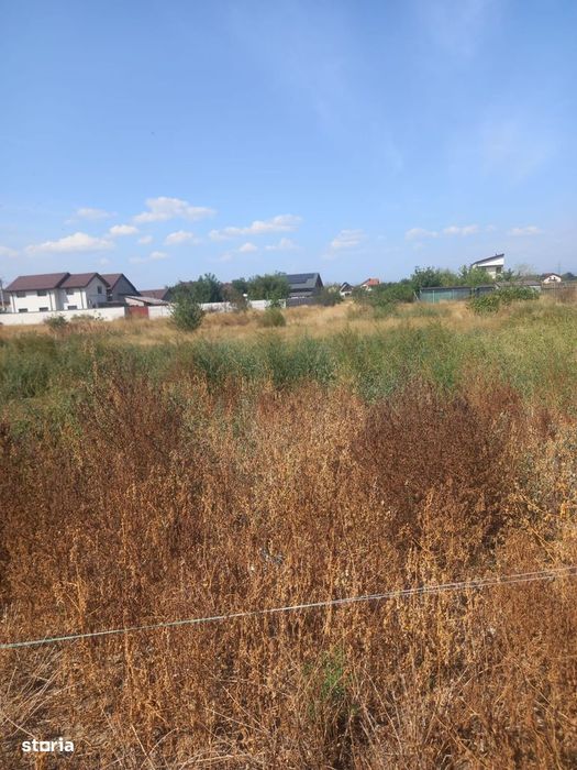 Teren intravilan Brosteni