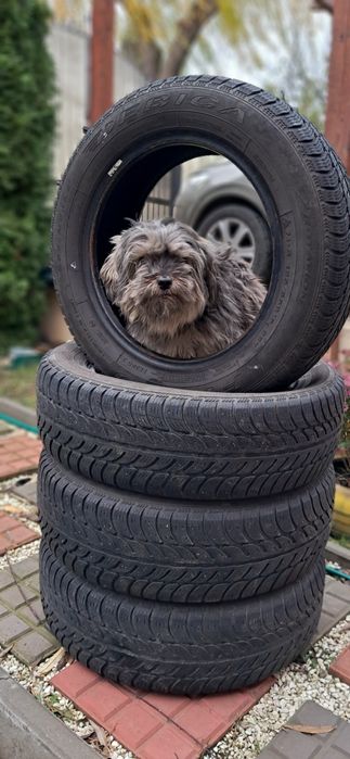 Anvelope iarna 185/65 R15 Debica Frigo2