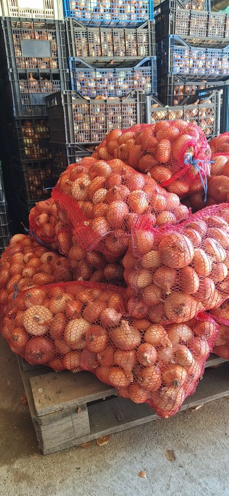 Продавам кромид лук