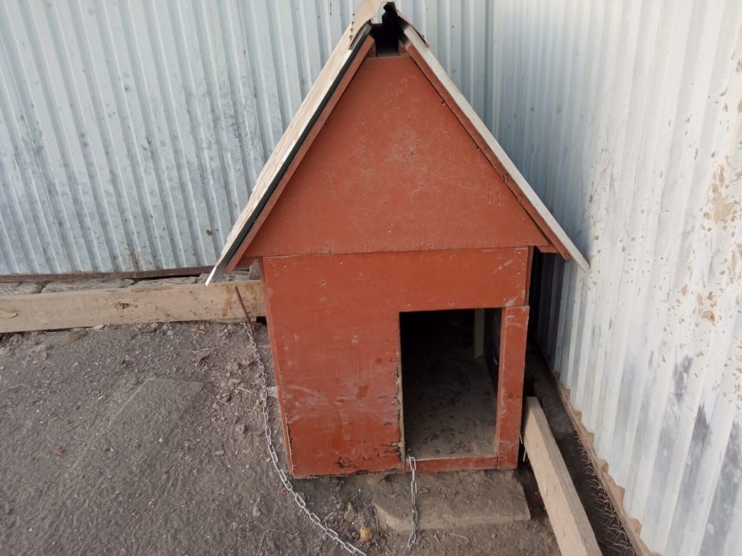 Продам домик для собаки цена 15000тг