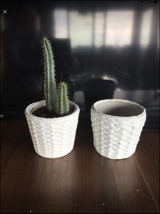 Suport bambus plante / ghivece plante