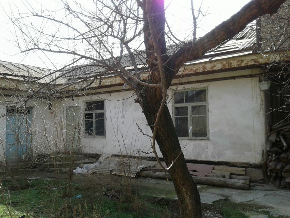 Яшнабод т. Олмос, Миришкор мфи. 10 сотх