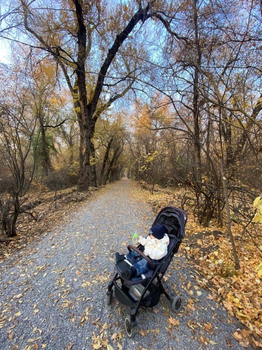 Коляска прогулочная. Собирается одним щелчком.