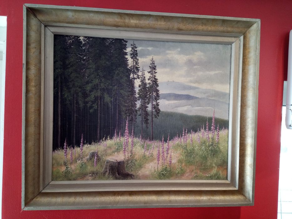 Маслени картини  с реставрирани рамки