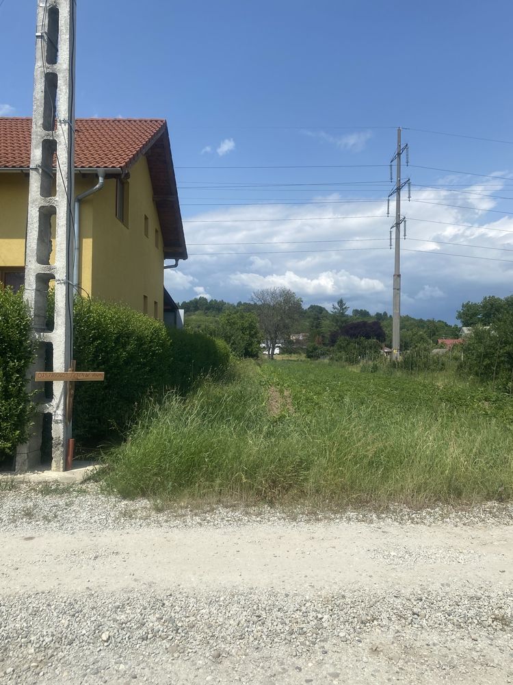 Vindem pamant.