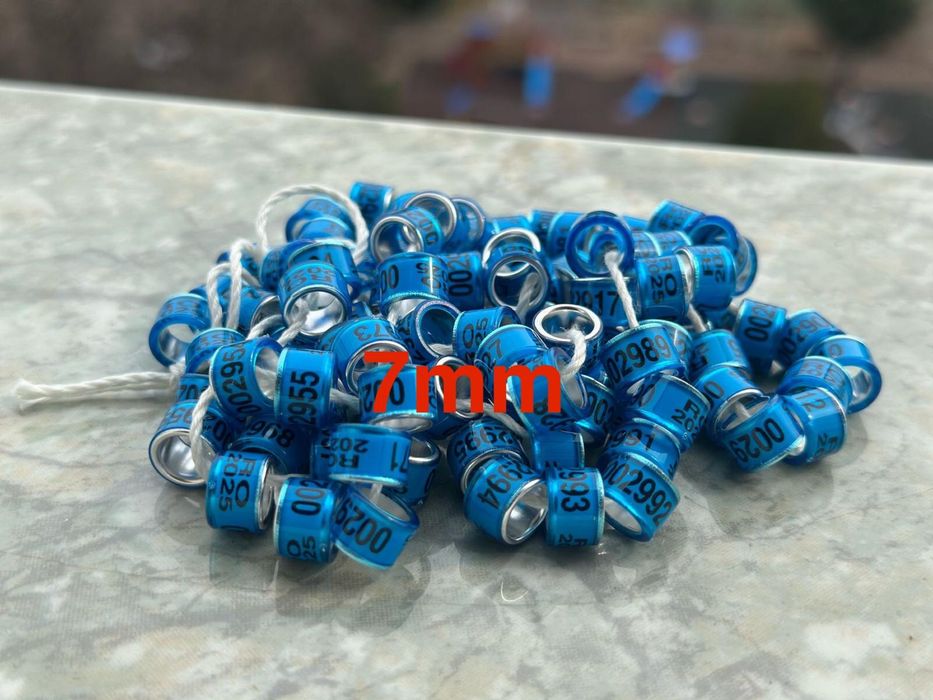 Inele porumbei 2025- 7mm!