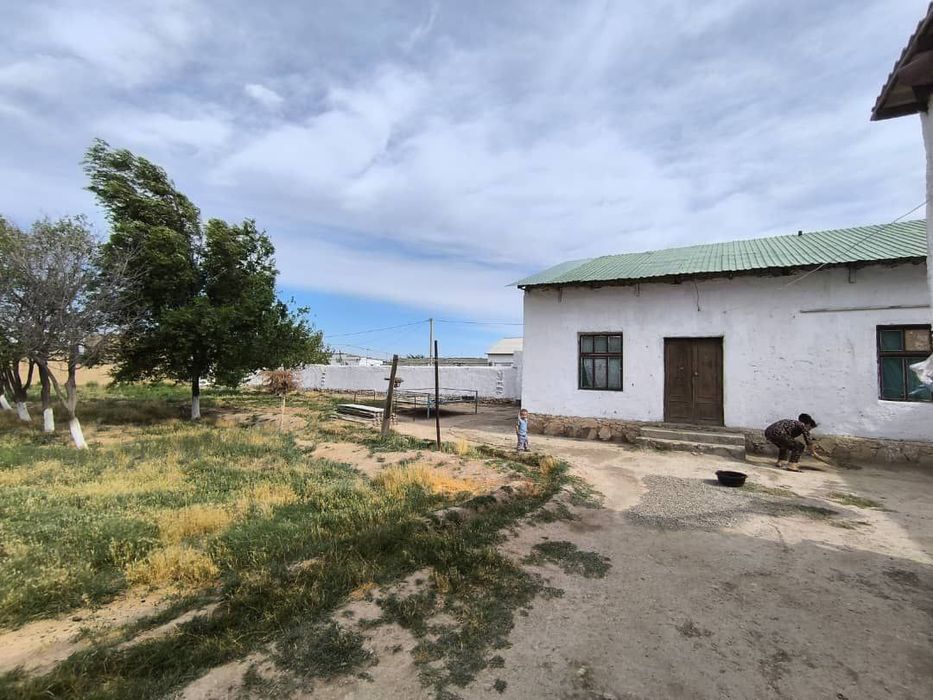 Канимех Карвон йули