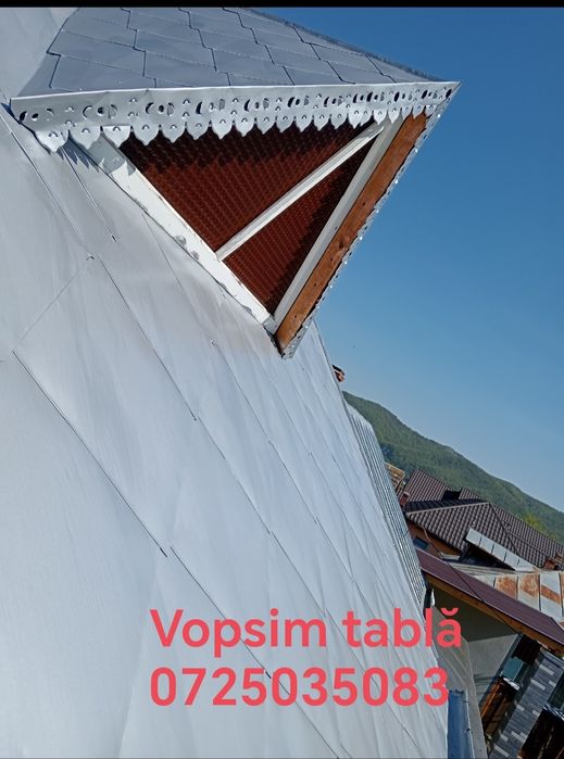 Vopsim tablă pe case garduri etc