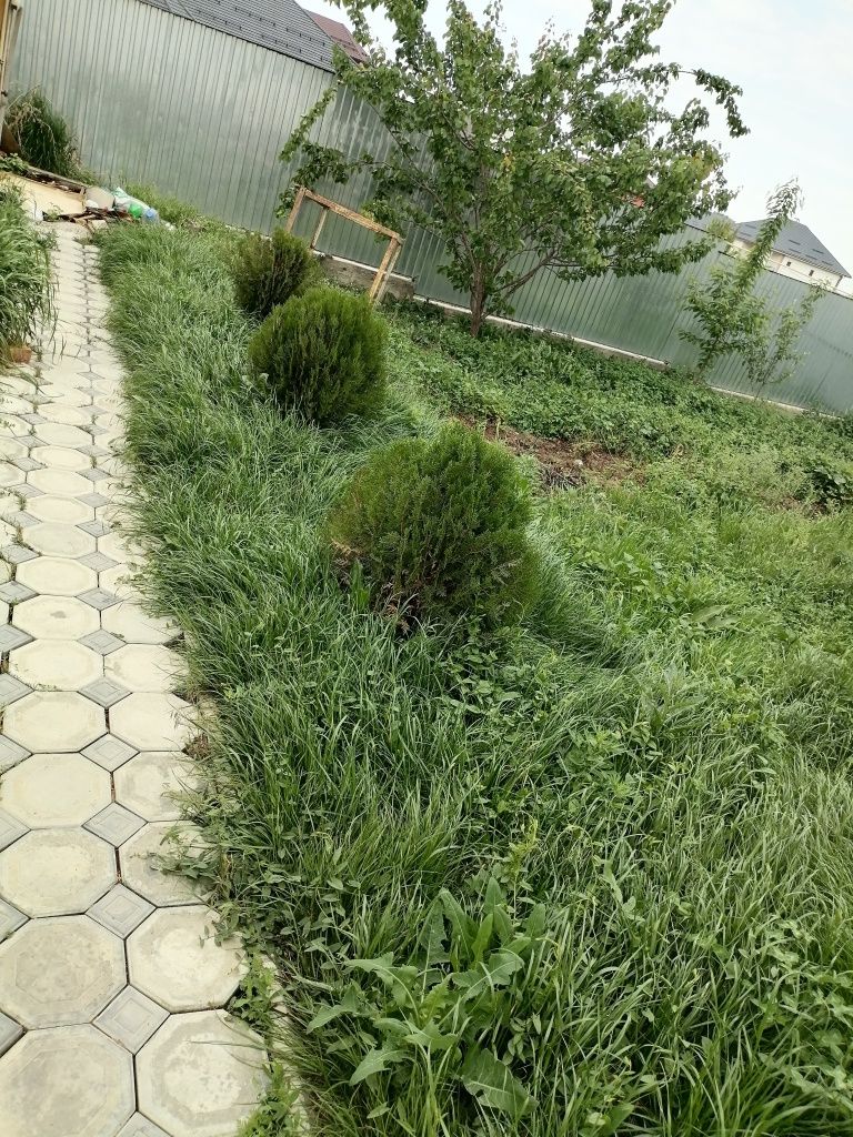 дом 110кв Каскелен ул Бұлақты 29