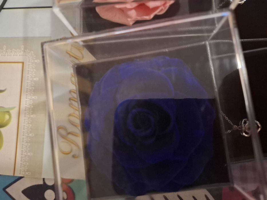 Lănțișor + pantaniv argint 925 + cutie depozitare + trandafir