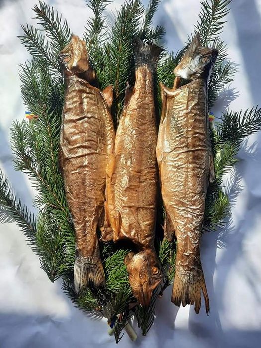 Pastav in cetina